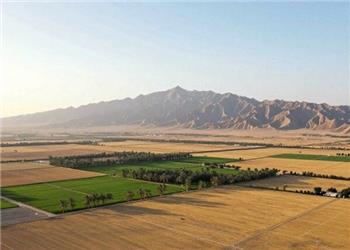 برخورد قاطع با ساختوسازهای غیرمجاز اراضی ملی در کردستان