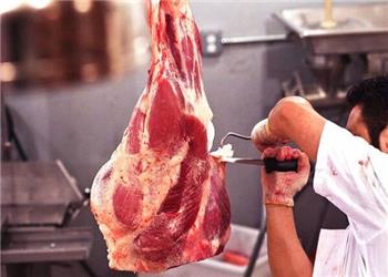 قصابیهای غیرمجاز جوانرود به سمت کشتارگاه هدایت میشوند